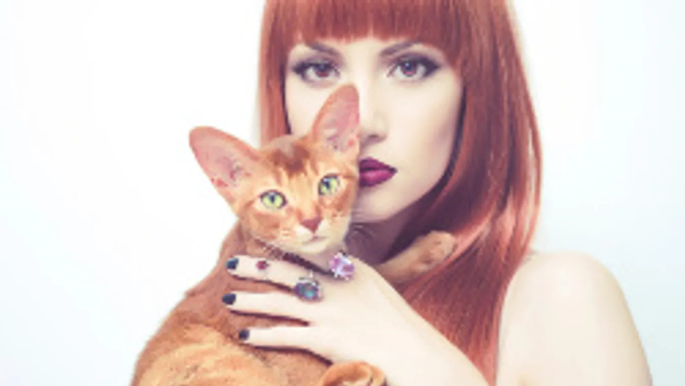 A legjobb szépségtrükkök a macskádtól