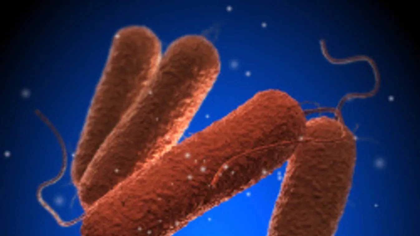 A globális felmelegedés berobbantja a szalmonellát! Rövidesen mi is sziesztázunk?