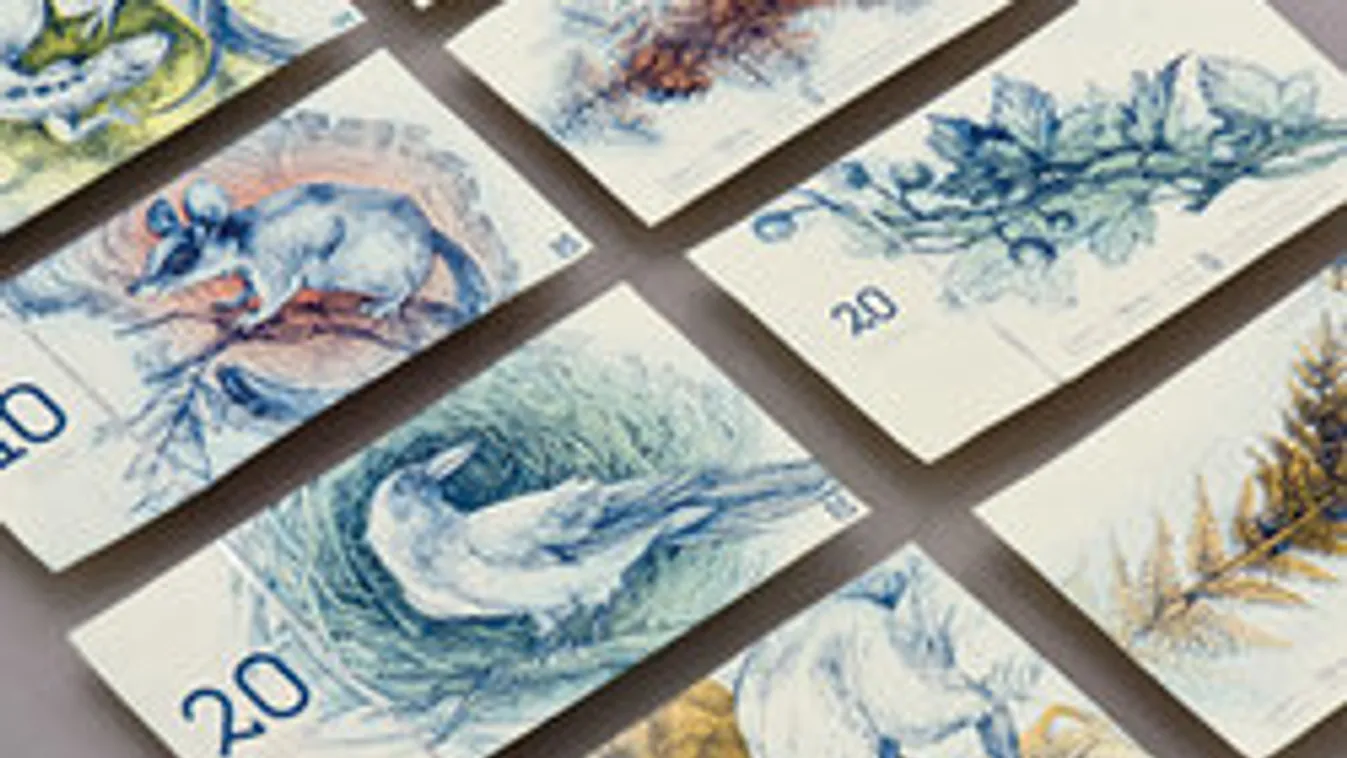 Így nézne ki a magyar euró egy egyetemista szemével