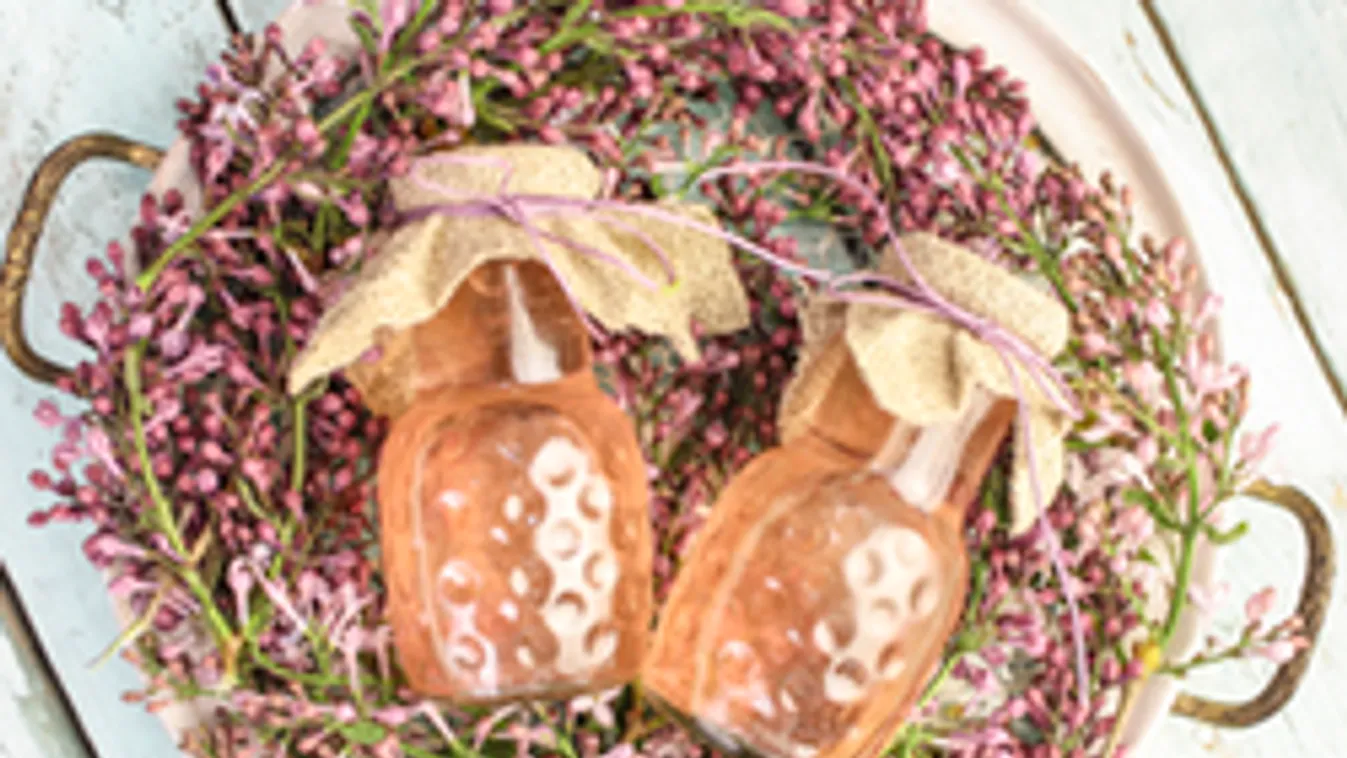 Gyógyulj orgonával!