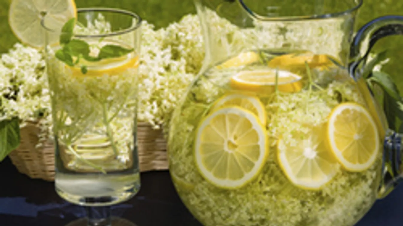 Fagyasztott bodza kocka! Készíts szörpöt egészségesen!