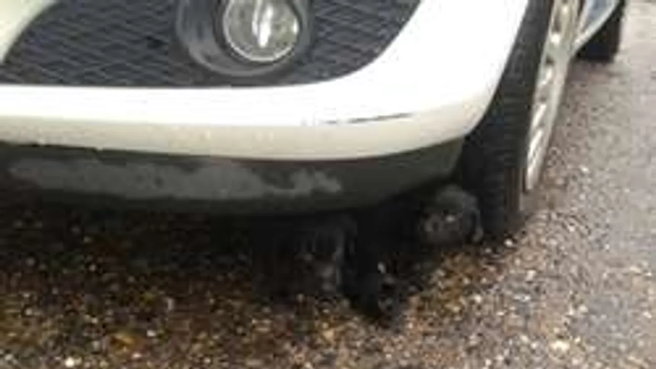 Ennél szívmelengetőbb rendőrségi közleményt még biztos nem olvastál!