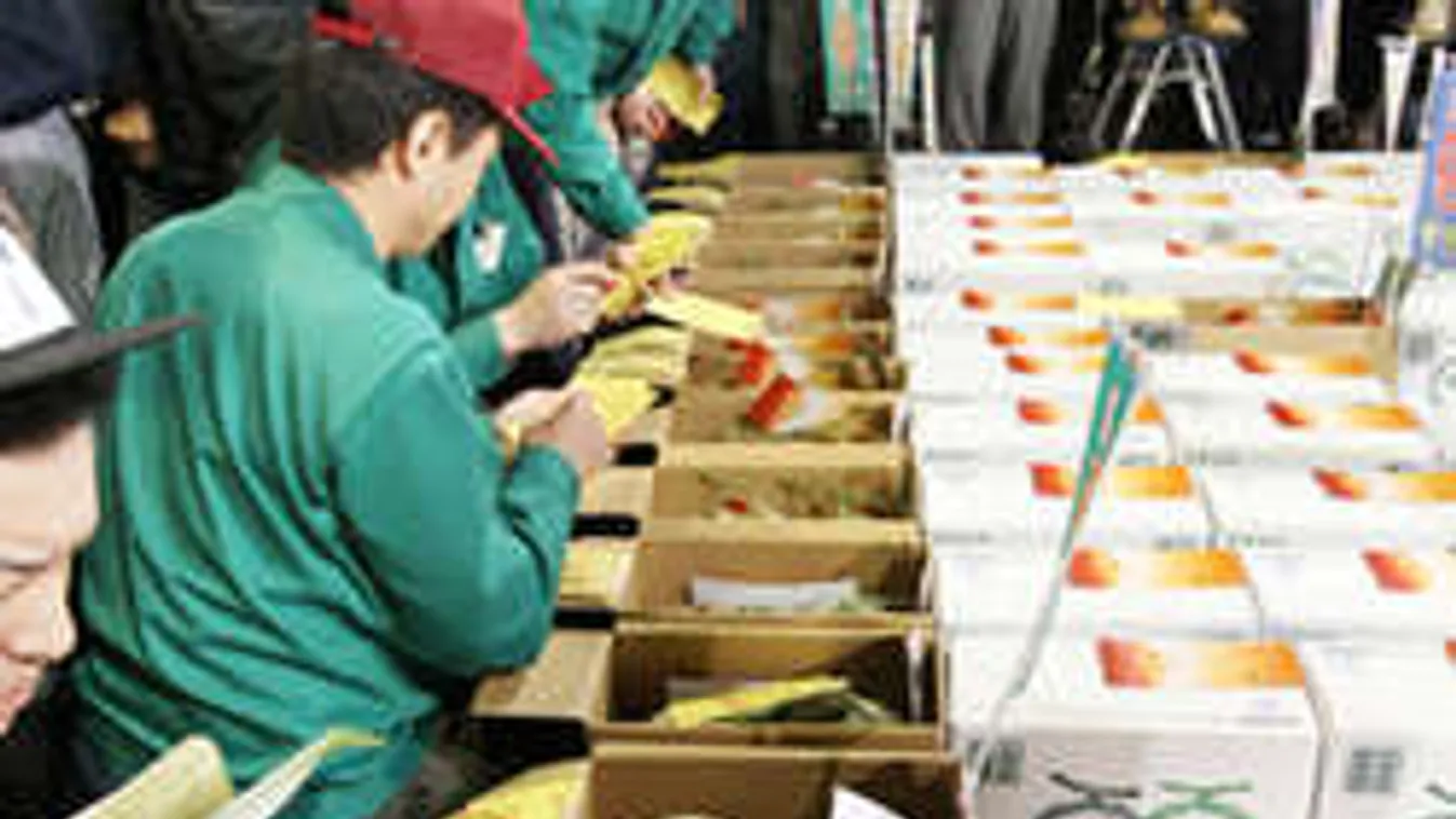 3 és fél millió 2 dinnyéért!