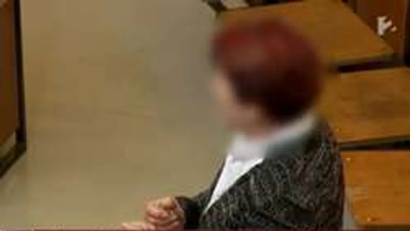 Jogerős! Börtönbe megy az érdi ikergázoló