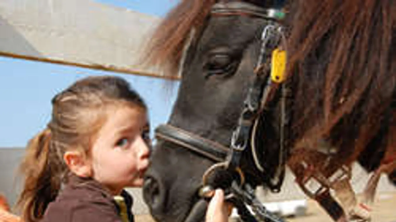 8 fantasztikus program gyereknapra!  Csoki helyett mulassatok a kölykökkel!