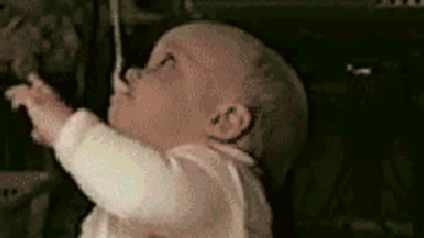 Ettől te is eldobod az agyad! Tuti nem bírod ki nevetés nélkül!