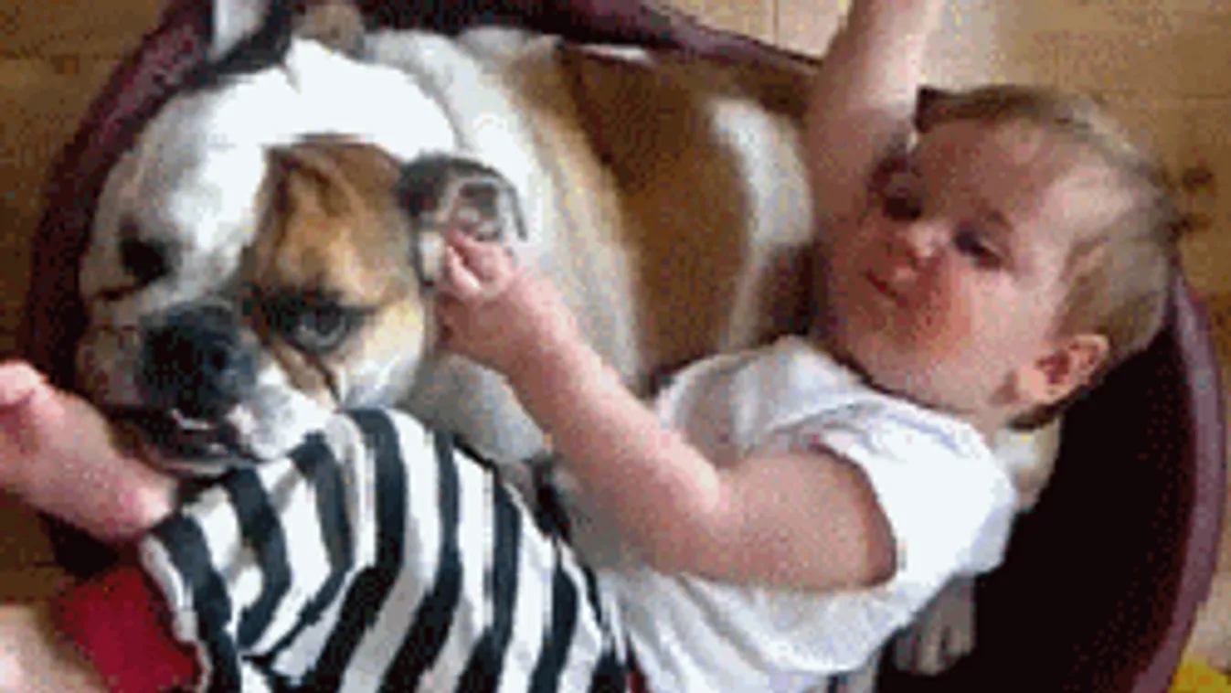 Így imádják egymást az állatok és a gyerekek