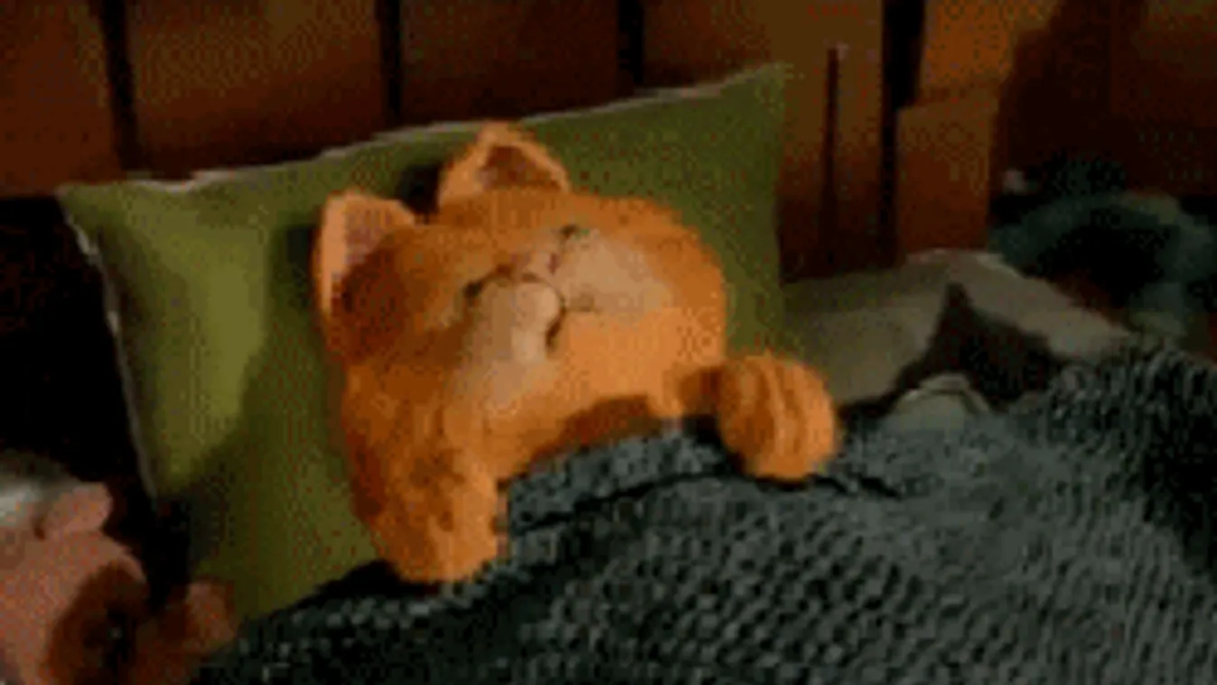 Utálod a hétfőt? Õk is.