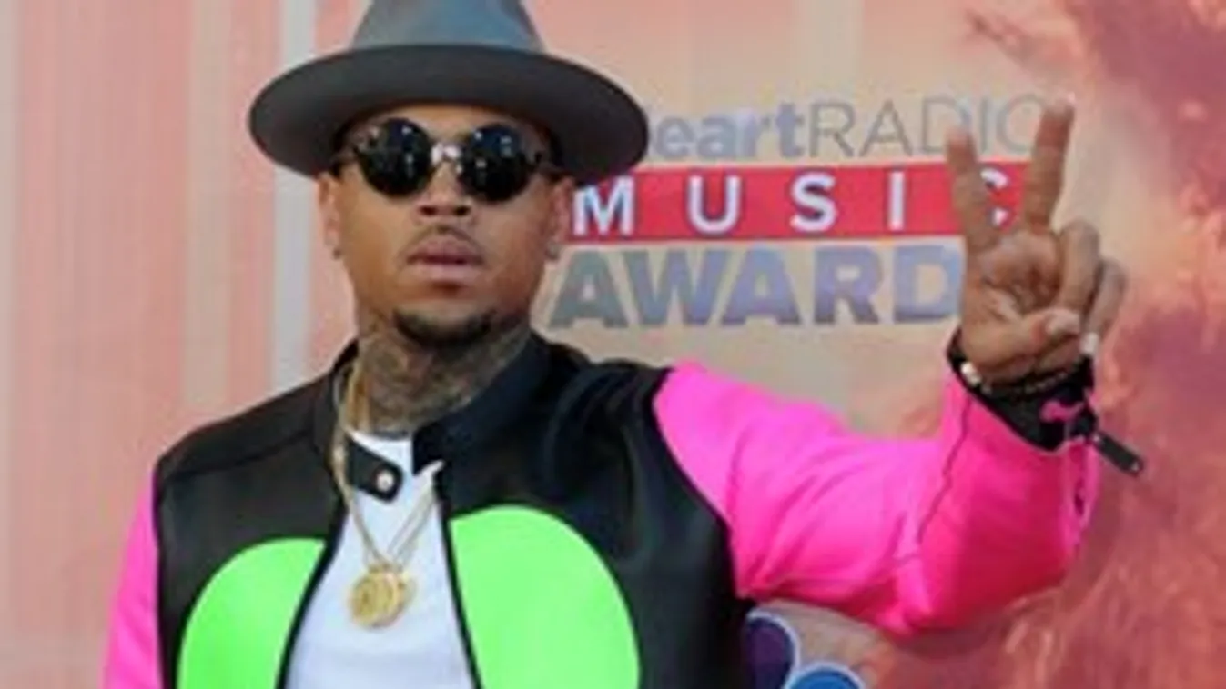 Meztelen betörő Chris Brown ágyában