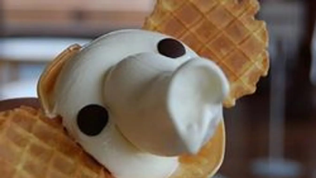 Ki mondta, hogy a fagyi csak gombóc formájú lehet?