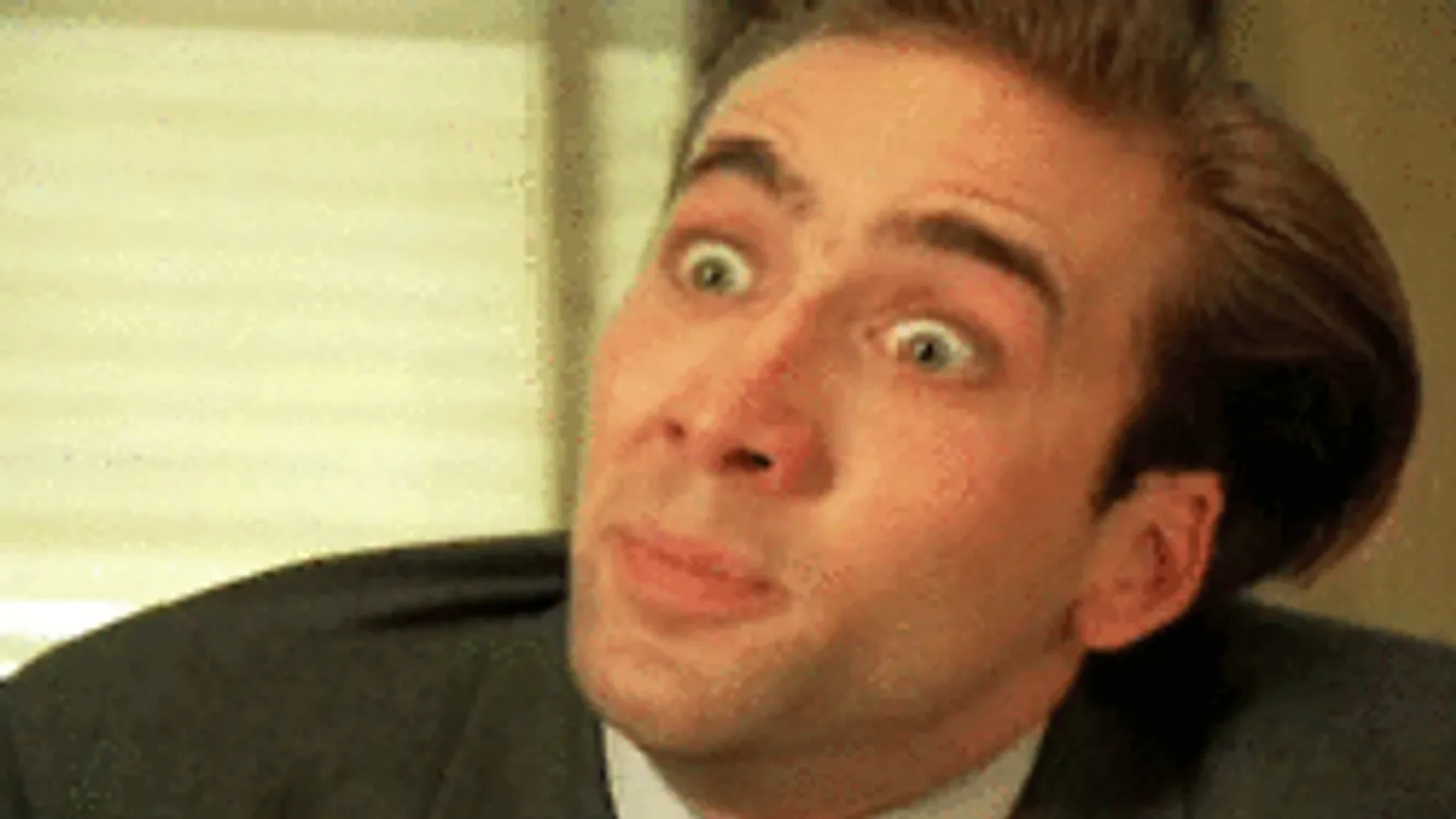 10 gif arról, hogy érzed magad vizsgázáskor