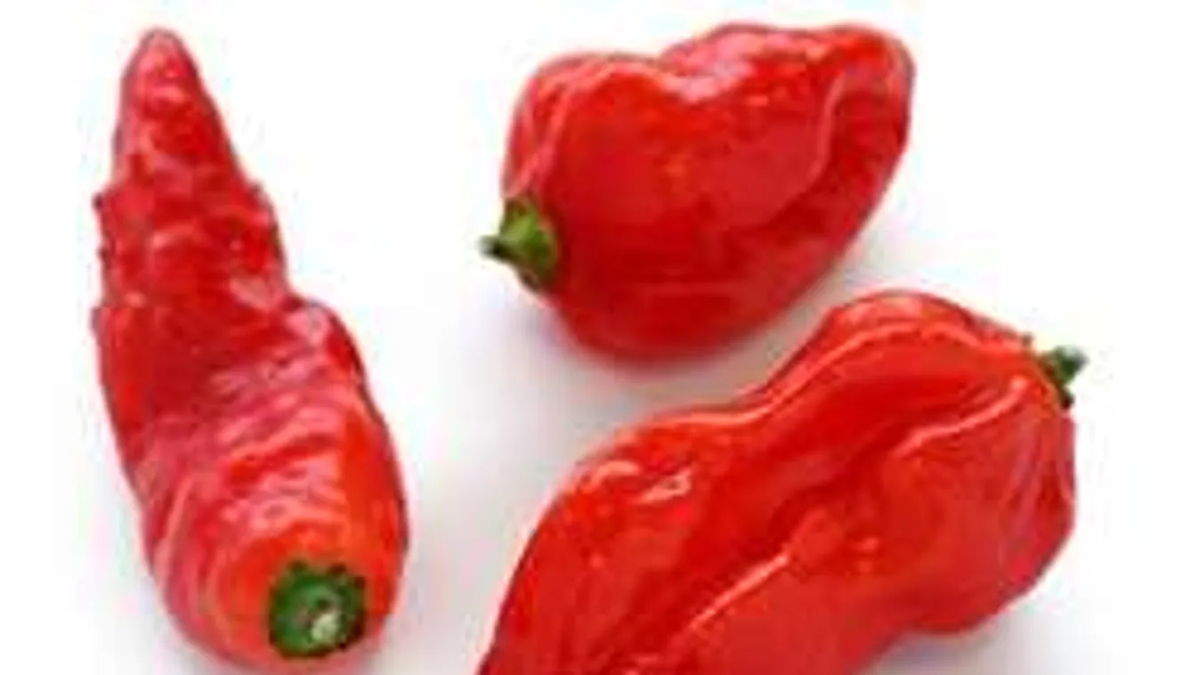 Elájultak, fulladtak, kihagyott a szívük az erőspaprikától. Újabb gyilkos hobbi!