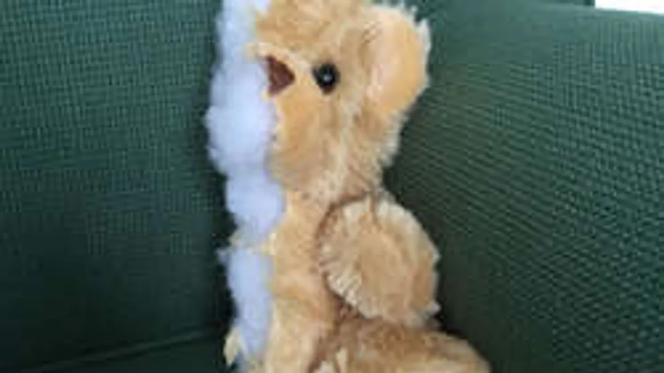 Milliókat vertek át a mindent félbevágó férj videójával!