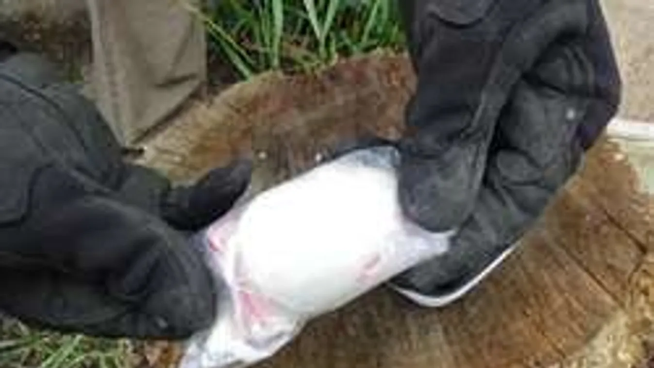 Kristály: új pszichoaktív drog a piacon!