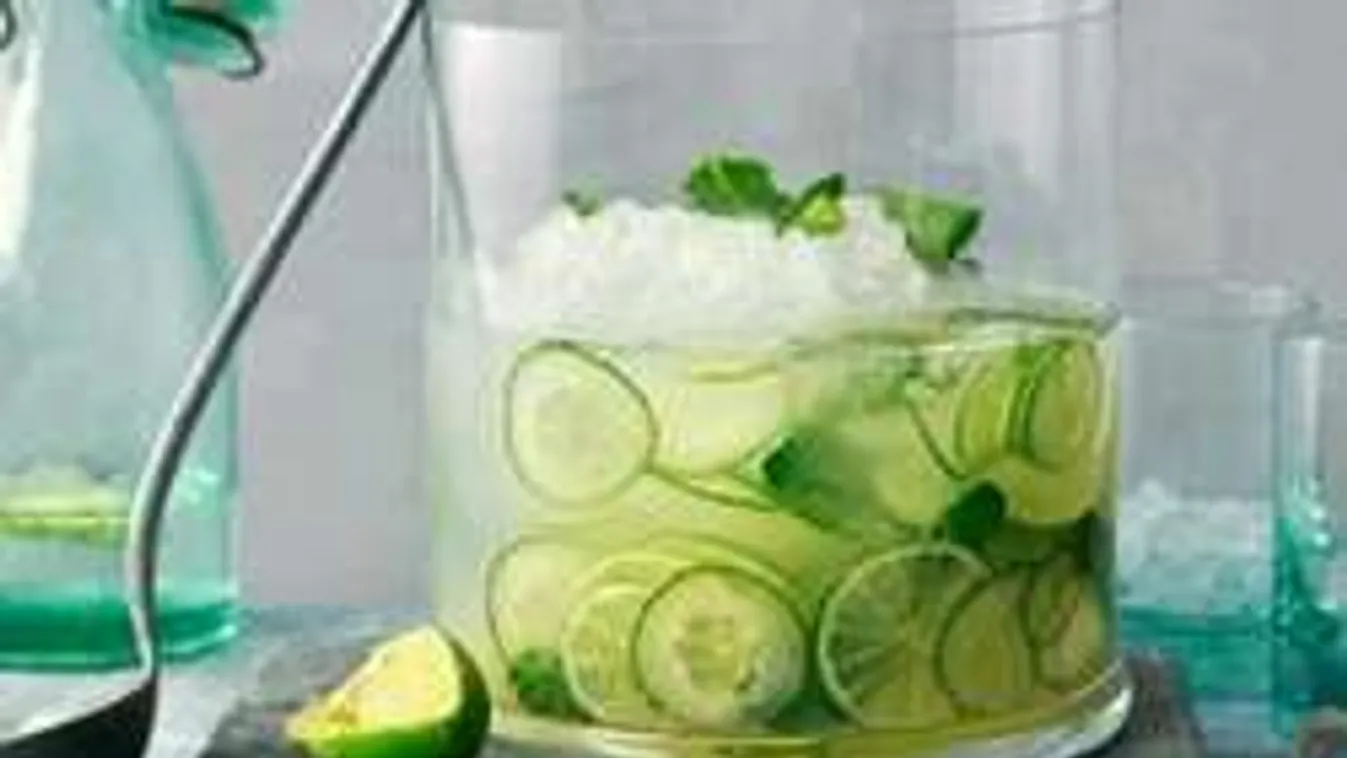 Így fogyaszt a víz! A Schlank-Wasser titkos receptje