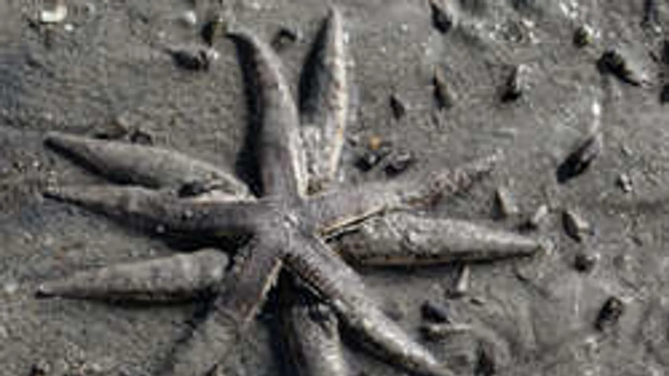 Szex a vízben: így csináld, hogy jó legyen!