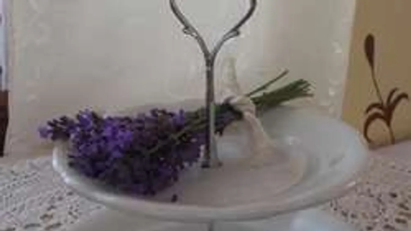 Elképesztő, mire képes 2 tányér a konyhában!