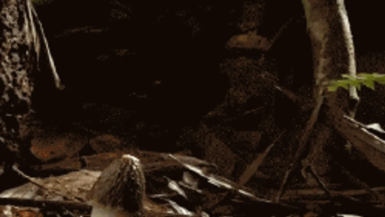 Az illat, ami pokoli gyors orgazmust hoz