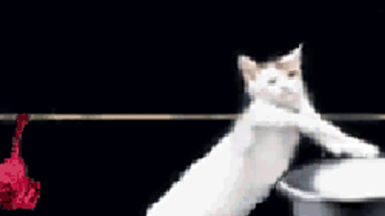 Hagyd a drága vegyszereket, a legjobb folttisztítót a konyhában keresd!