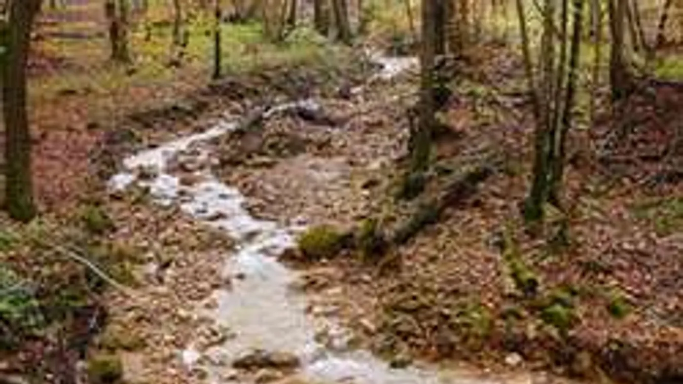 Hírzárlat Bakonykútin:a halott kislányt egy mentőhelikopter fedezte fel!