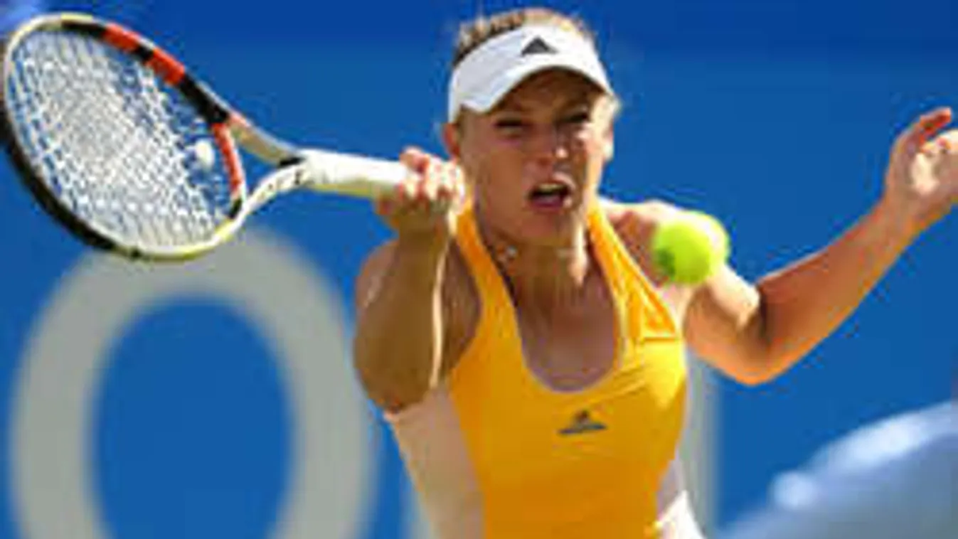 Mindenkit meglepett az edzésen a teniszklasszis - fotó