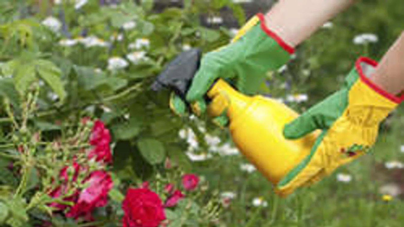 Tégy ecetet a mikróba! Csoda történik!