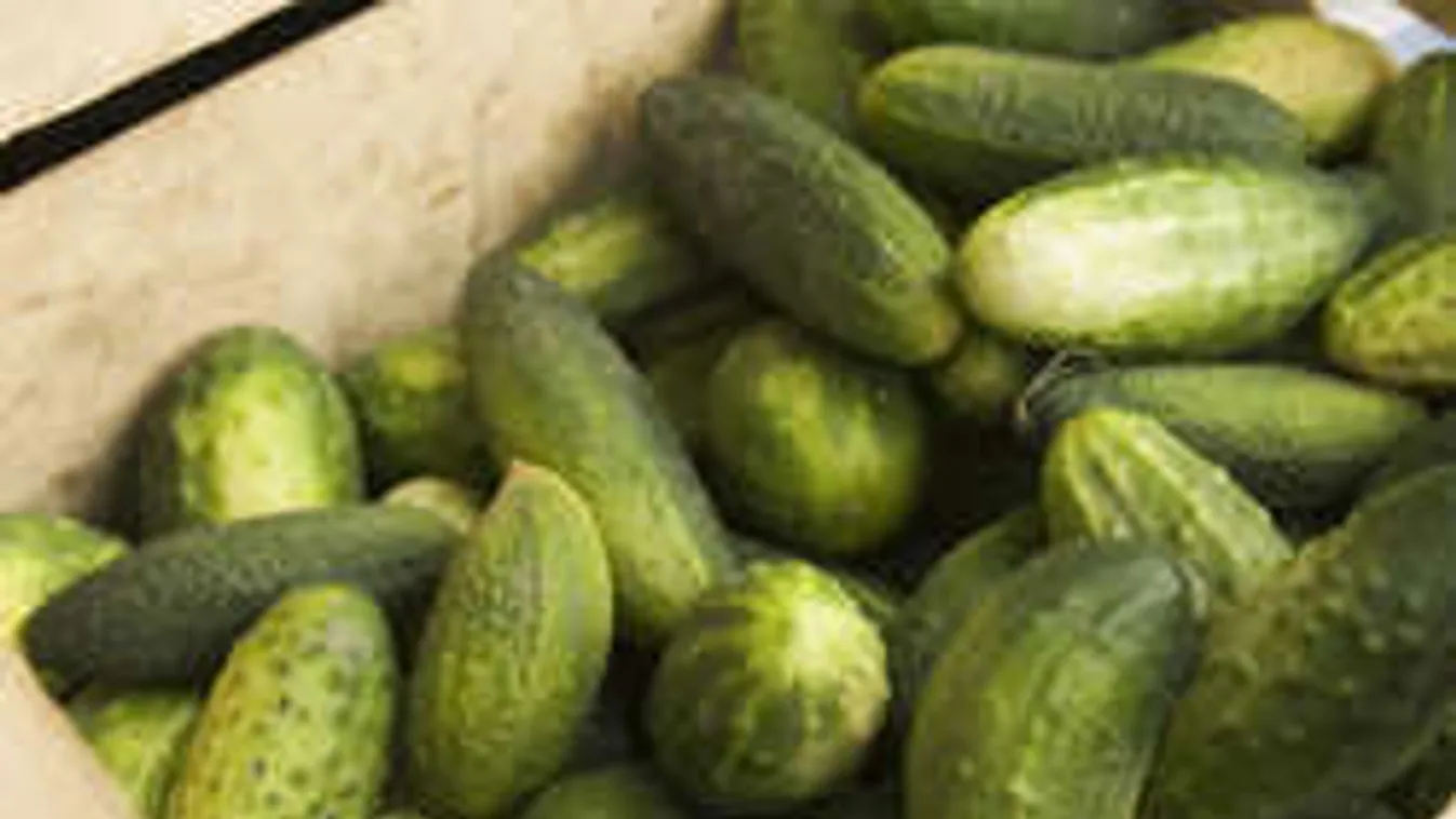 Koviubi - így készítsd el kenyér nélkül!