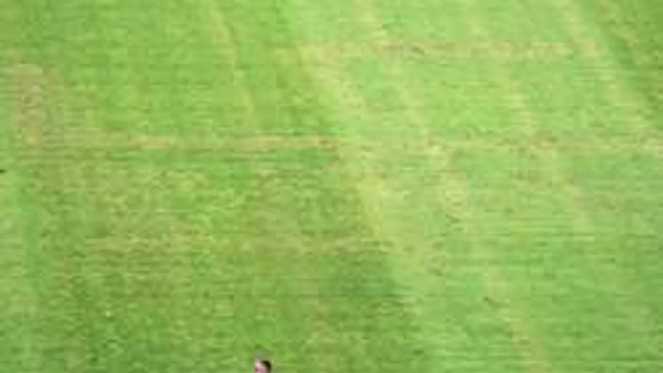 Õrült szurkolók horogkeresztet égettek a focipálya gyepébe