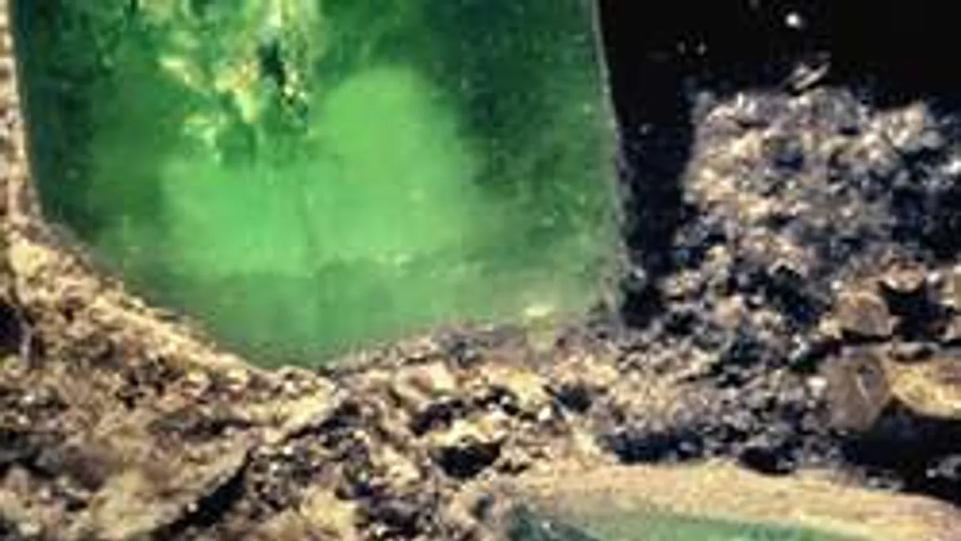 10 milliárdos smaragdóriást happolt el Amerika a braziloktól