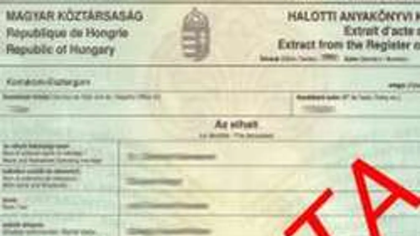 Anyakönyvi kivonatokon szexeltek a makói járási hivatalban