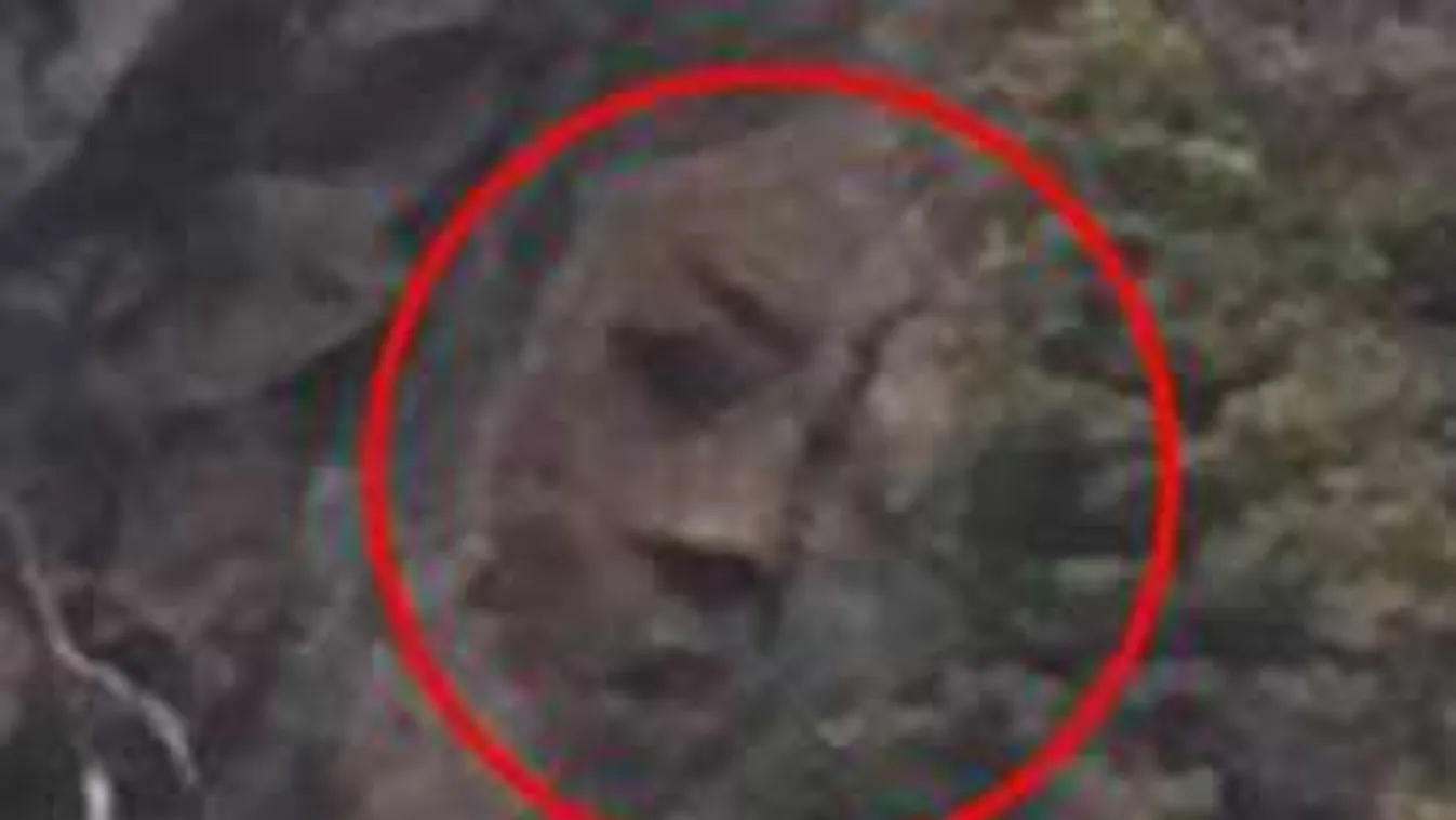 2 év keresés után misztikus rajzokat találtak sziklára vésve