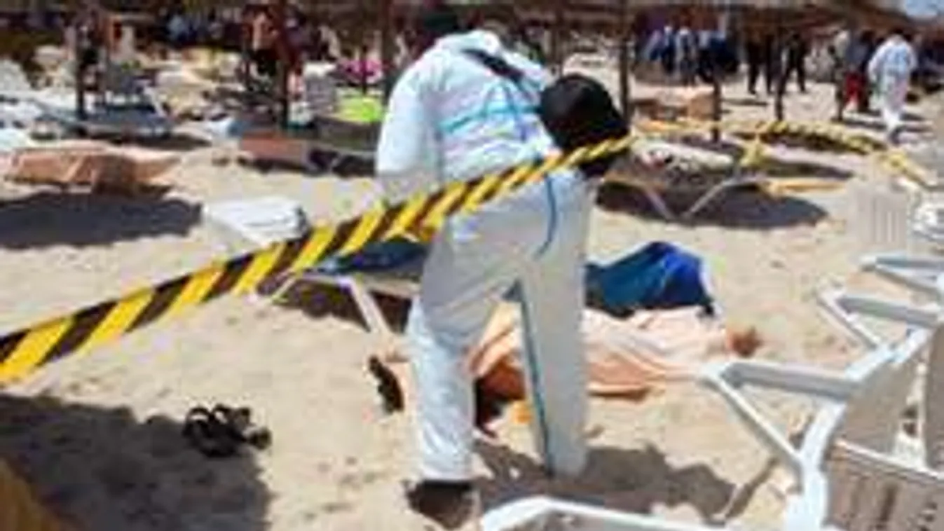 Hazaértek az első magyar túlélők Tunéziából