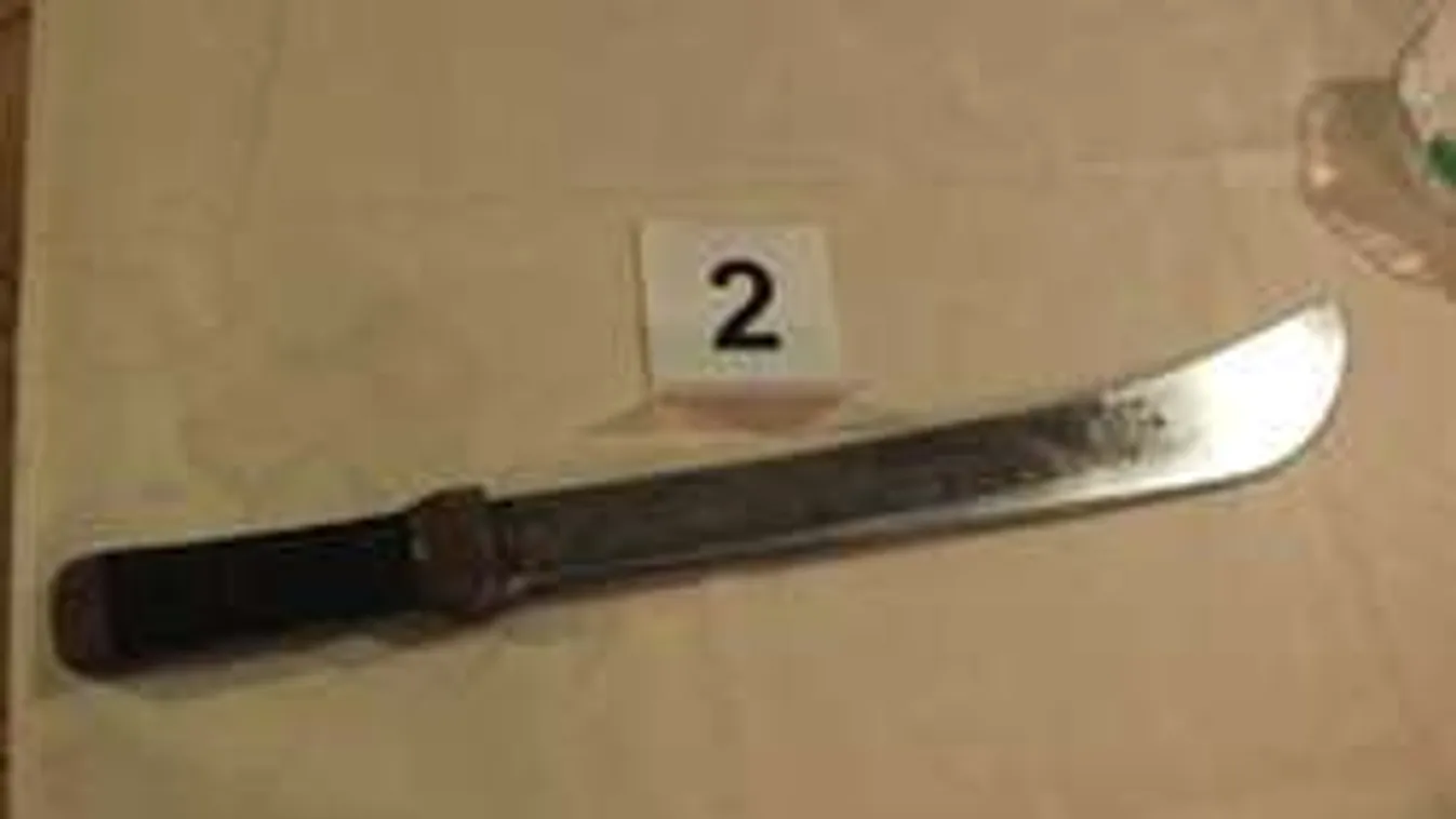 Rabságban tartotta feleségét és anyósát a vácrátóti férfi