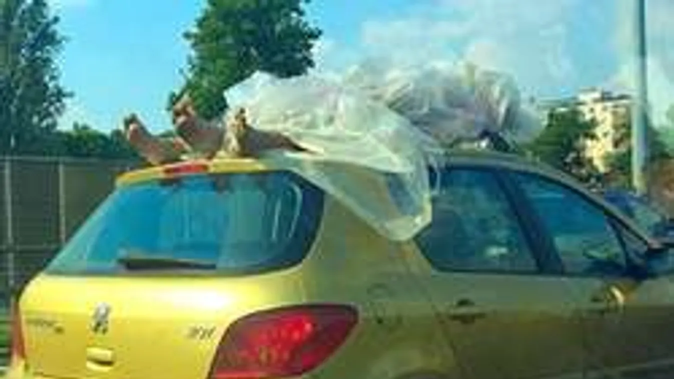 Bizarr! Hullákat szállítottak kocsitetőn az M3-on