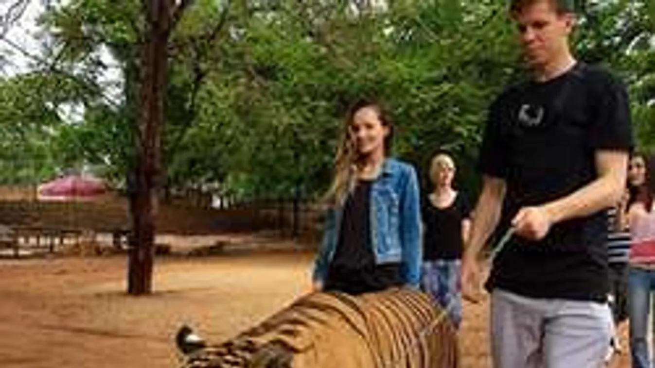 Õrült fotó: nagyvadat vert láncra a sztárfocista!