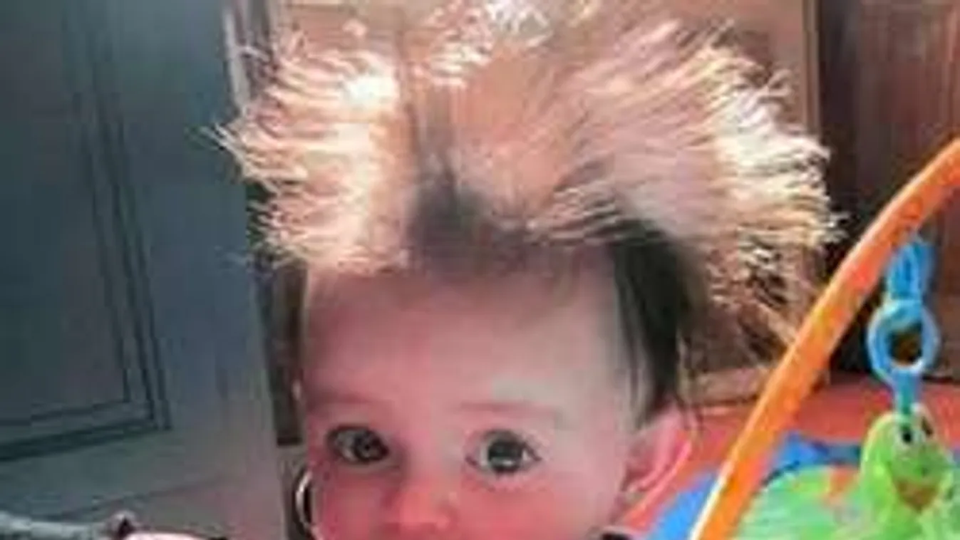 A világ legviccesebb gyerekhajai - sírva fogsz nevetni!