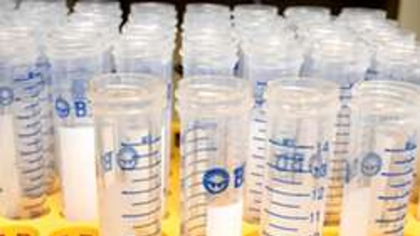 "Megtudtam, hogy spermadonor az apám! 300 testvérem is lehet!"