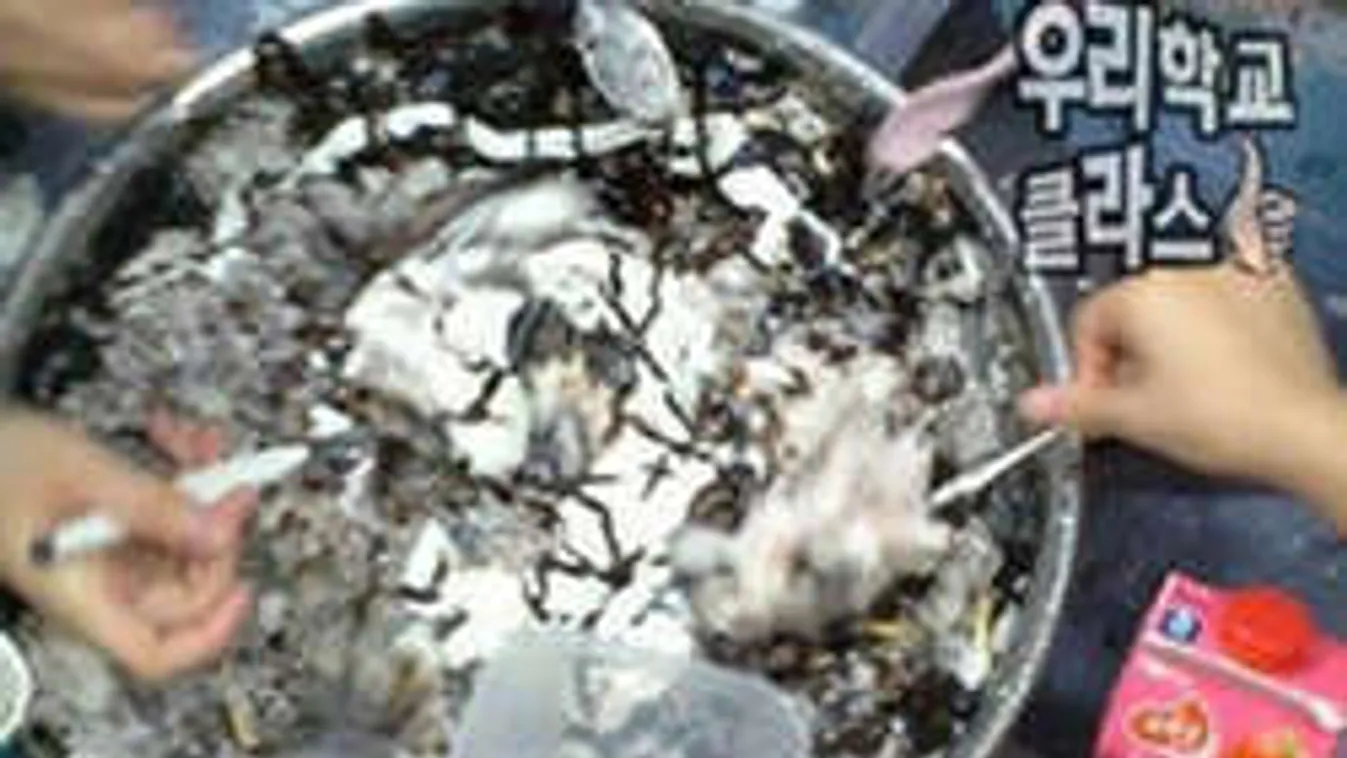 Szülők figyelem! Életveszélyes ételdivat terjed a tinik között!