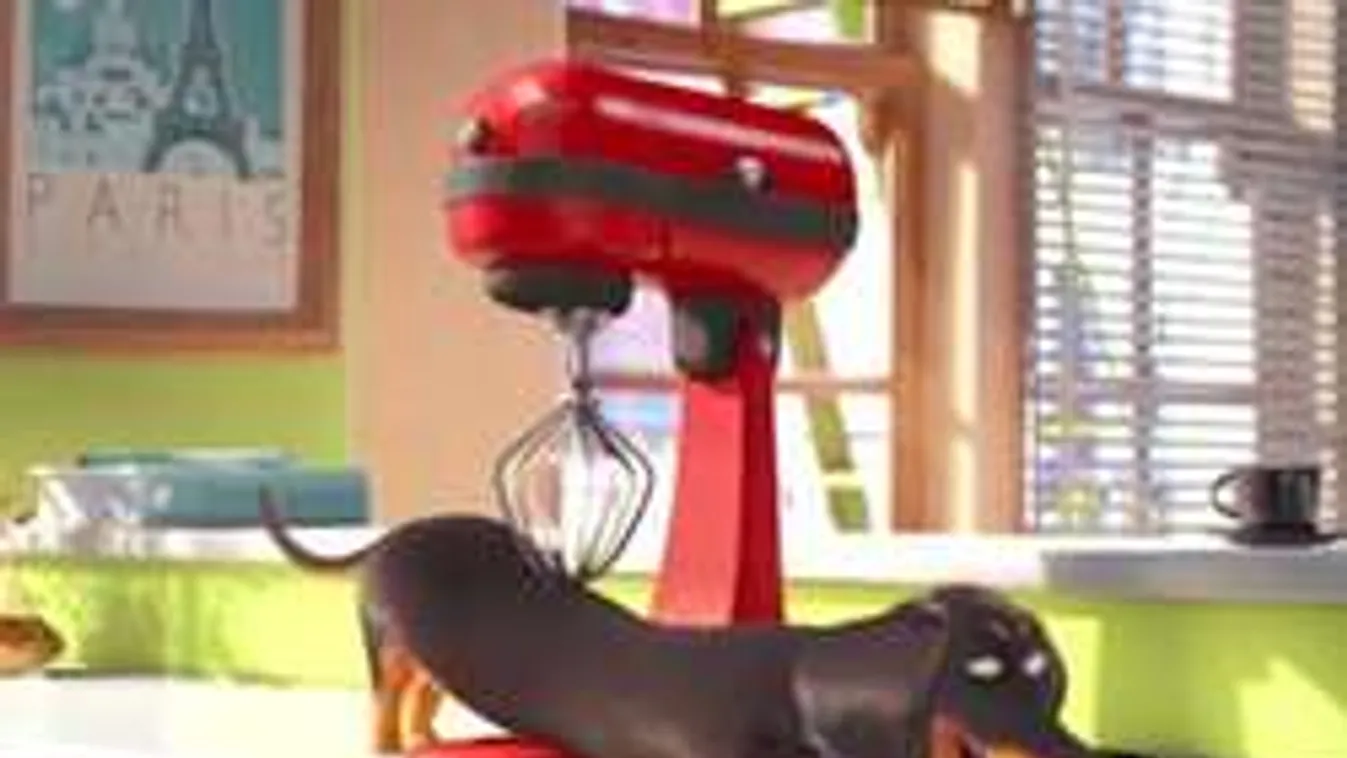 A Gru alkotói ismét kitettek magukért! Az új rajzfilm mindent visz!