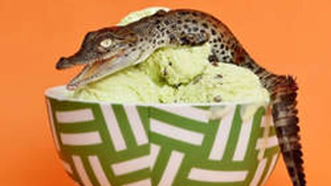 Viagrából fagyi? Ilyen csodákat még nem nyaltál!