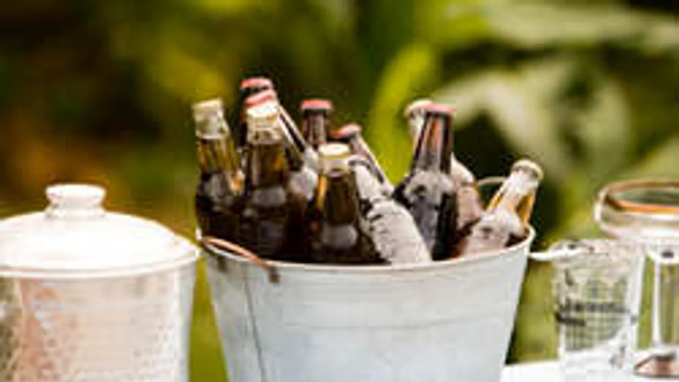 Már II. Rákóczi Ferenc is sört főzött, láss hozzá te is!