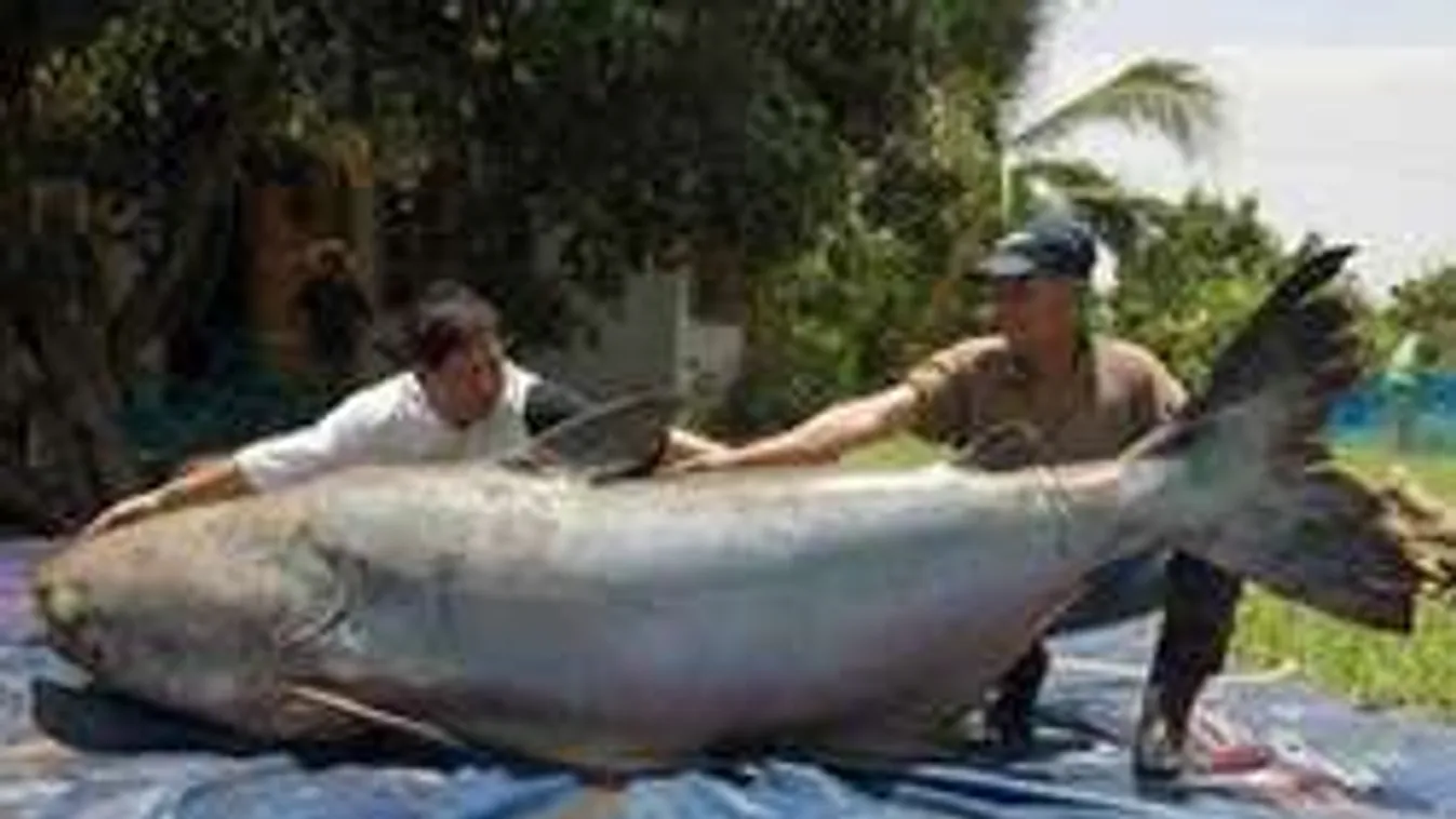 A világ legnagyobb horgász zsákmányai