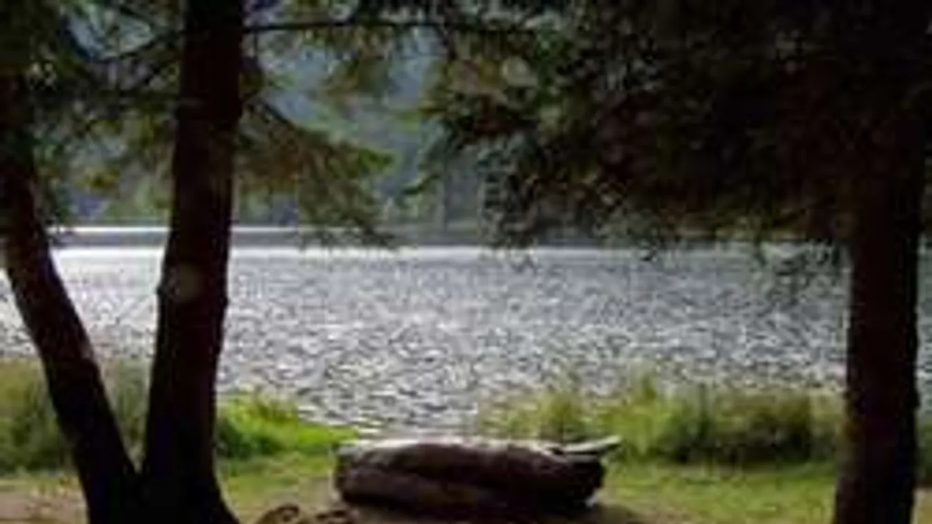 Holtan találták az eltűnt magyar diákot