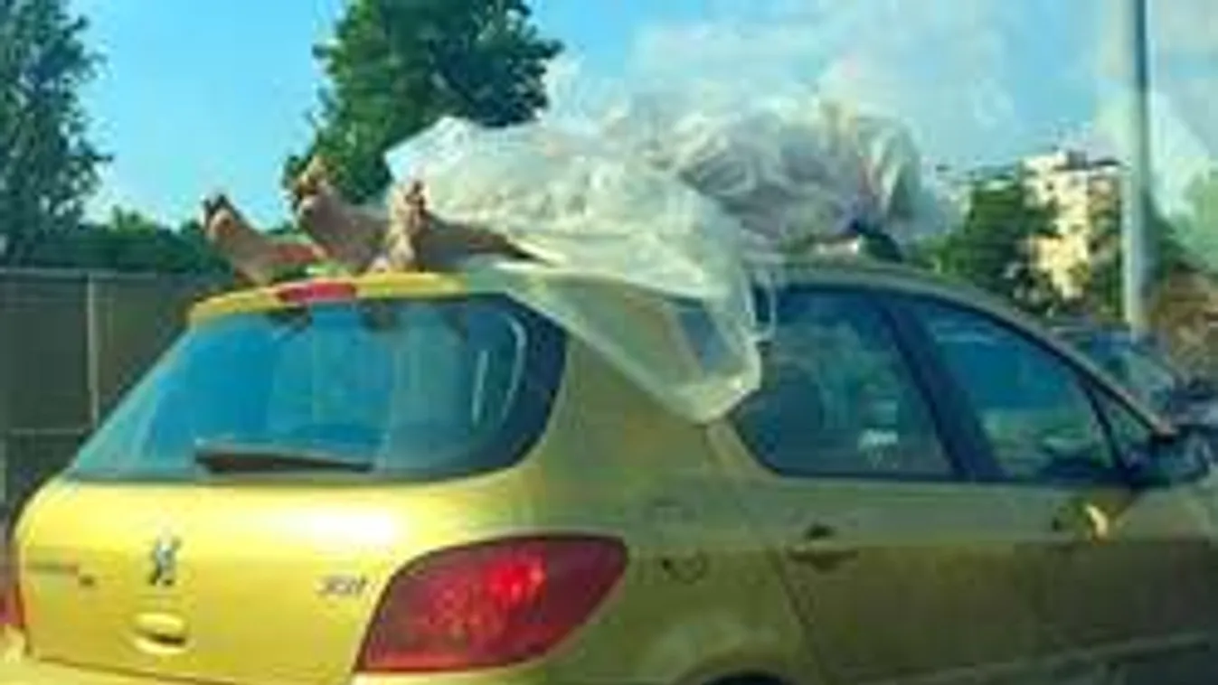 Csomagtartóra kötözött hullák - A rejtély megoldódott!