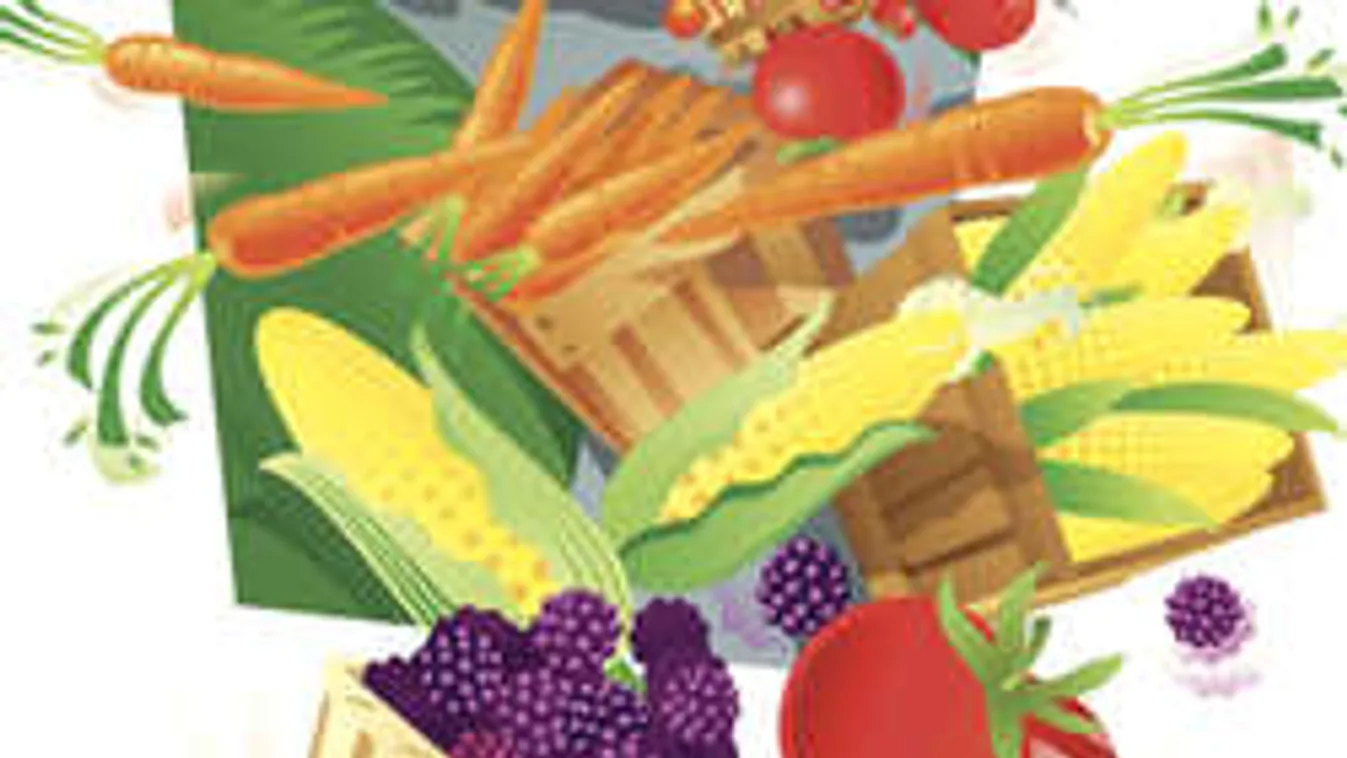 Vasárnapi nyitva tartás? Megvan a zseniális kiskapu!