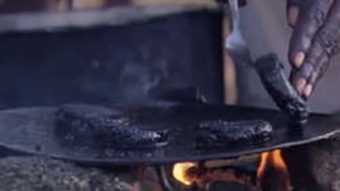 A világ legbizarrabb étele: szúnyog fasírt