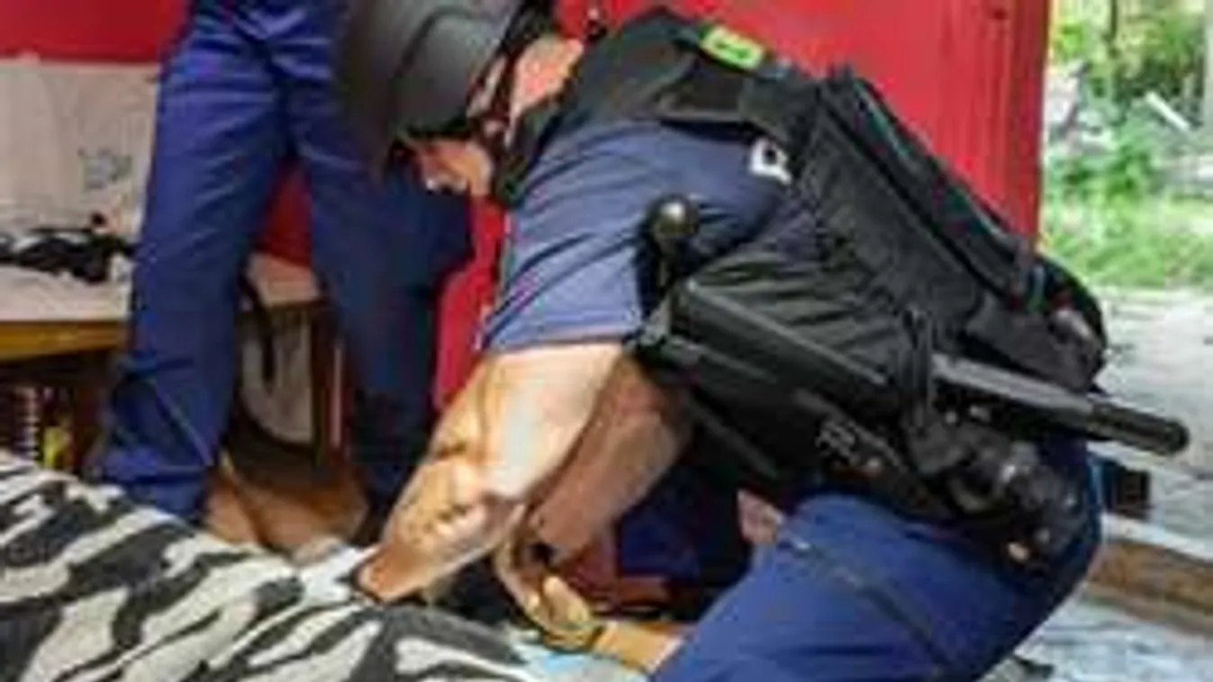 Előzetesben a gyerekverő férfi