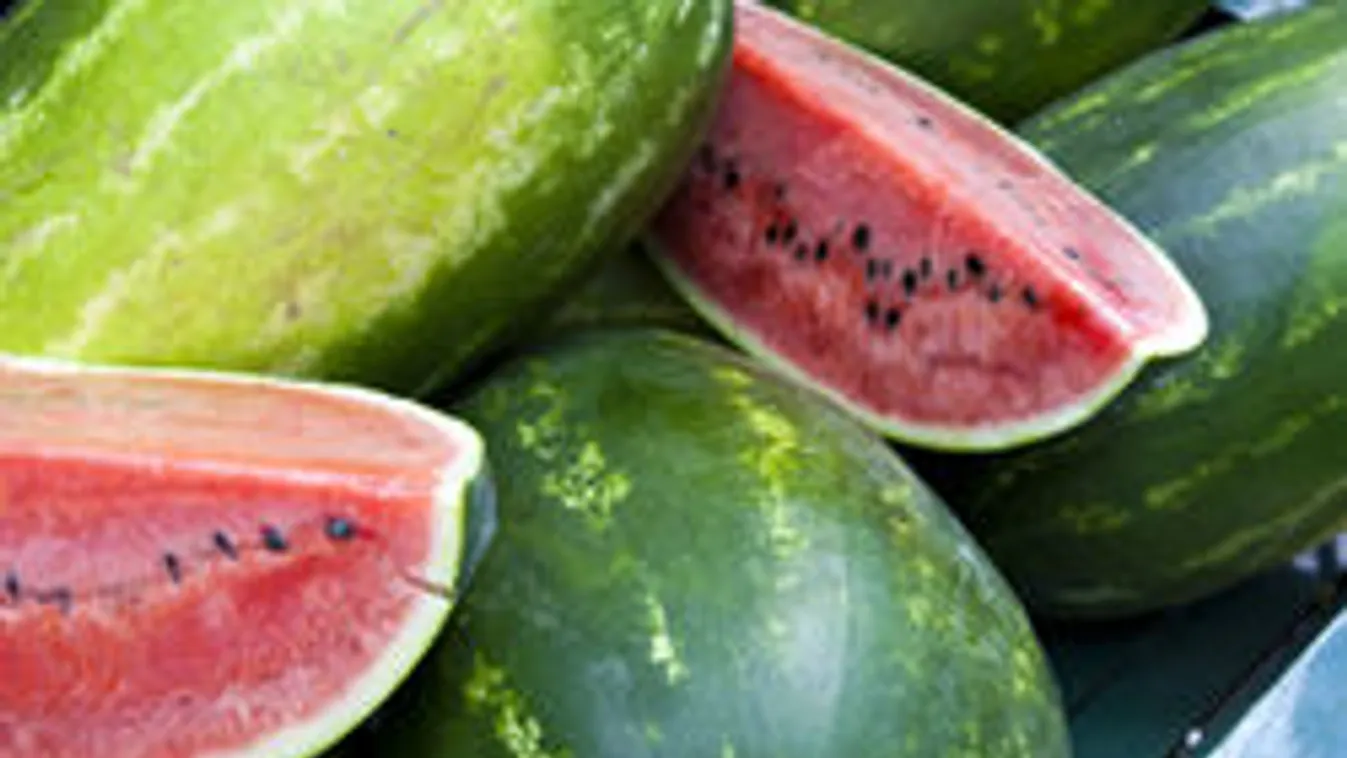 Rossz a dinnye? Tudod, hogy visszaviheted?