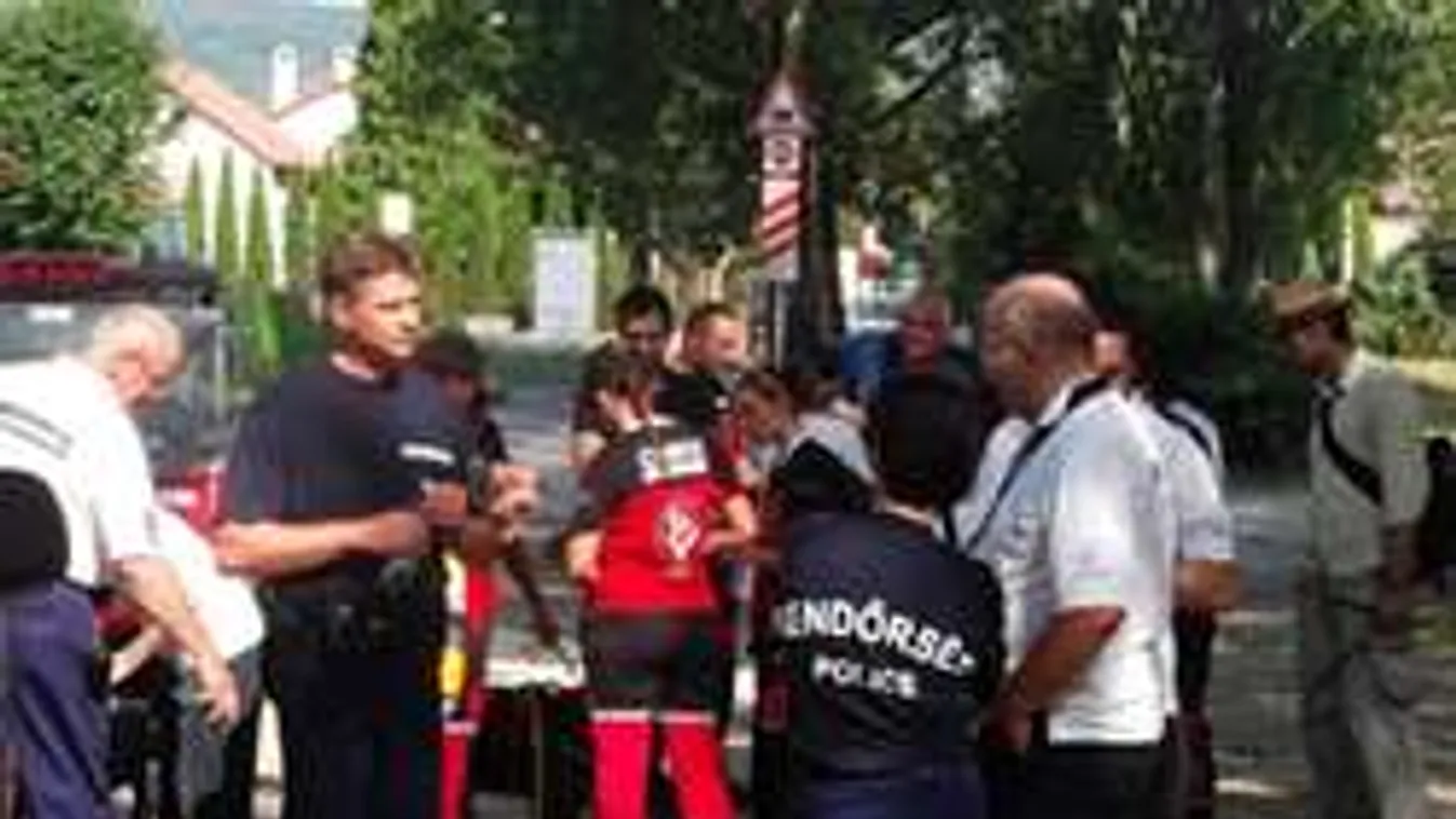 Fia találta meg a Balatonfűzfőn eltűnt bácsi holttestét