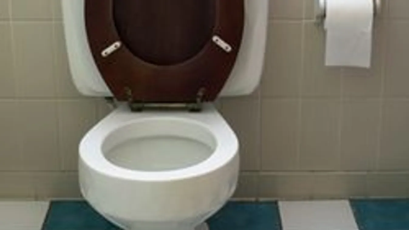 Belehalt a WC-iszonyba a tini